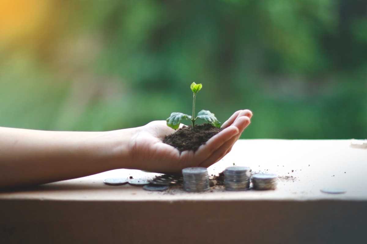 4 Green Investments Making a Positive Impact on the Planet